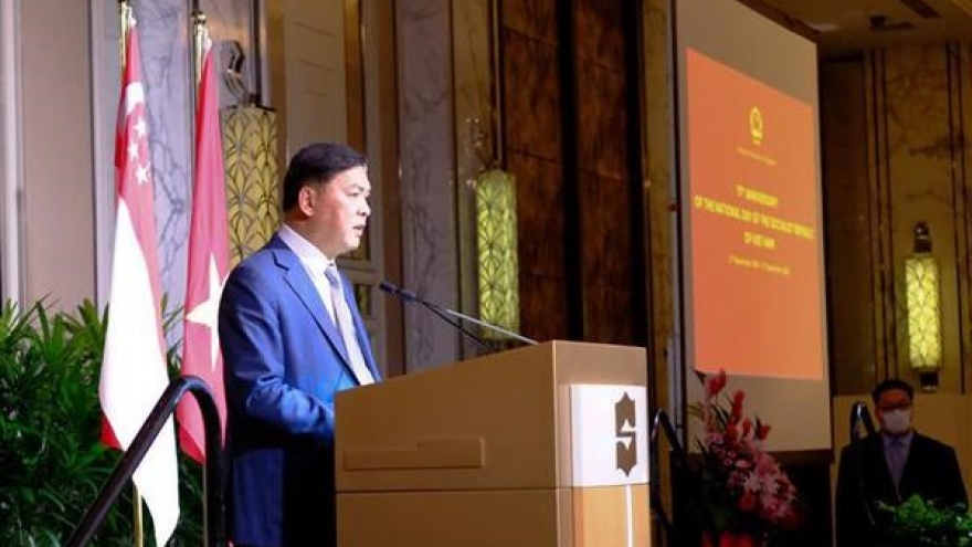 Vietnam and Singapore enjoy sound partnership